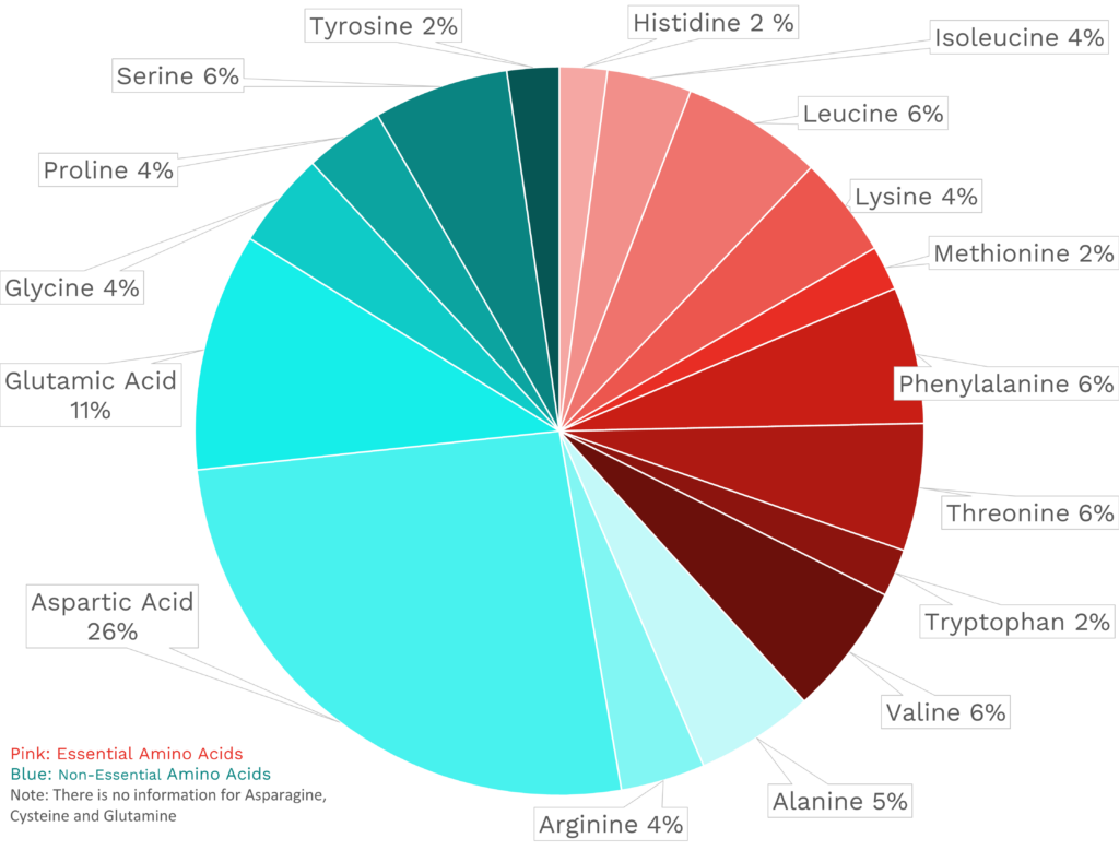 Visual graphic of amino acid distribution in sweet potato.