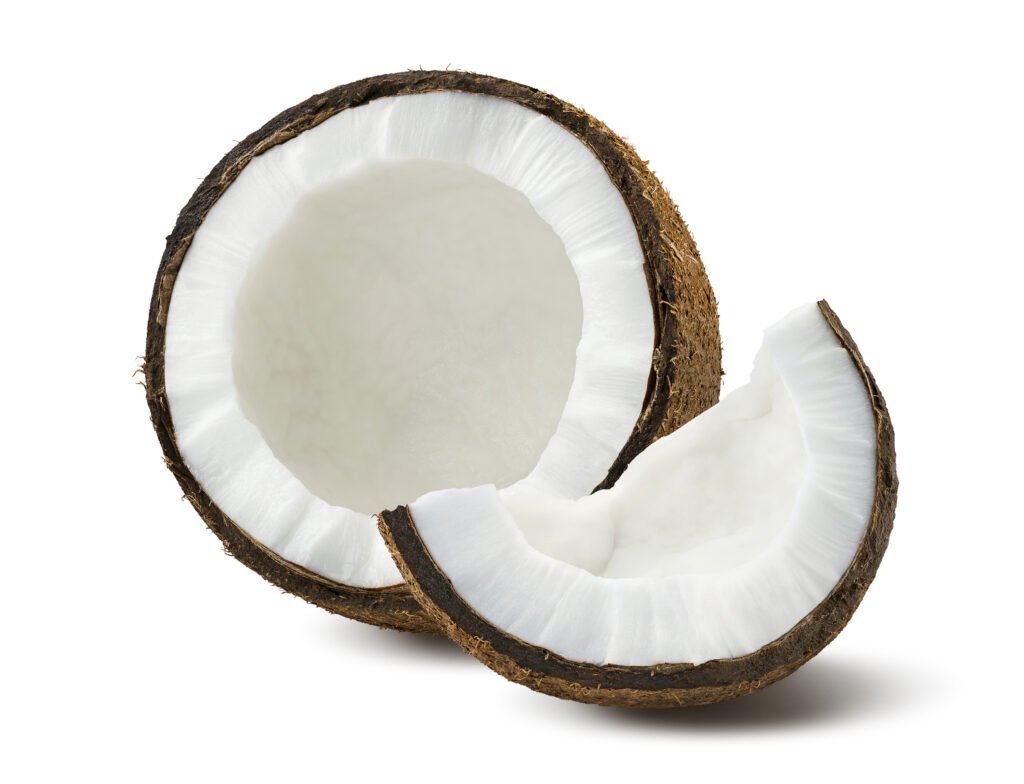 An image of a coconut.