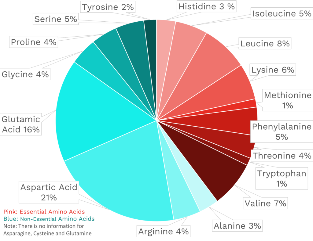 Visual graphic of amino acid distribution in ginger root.