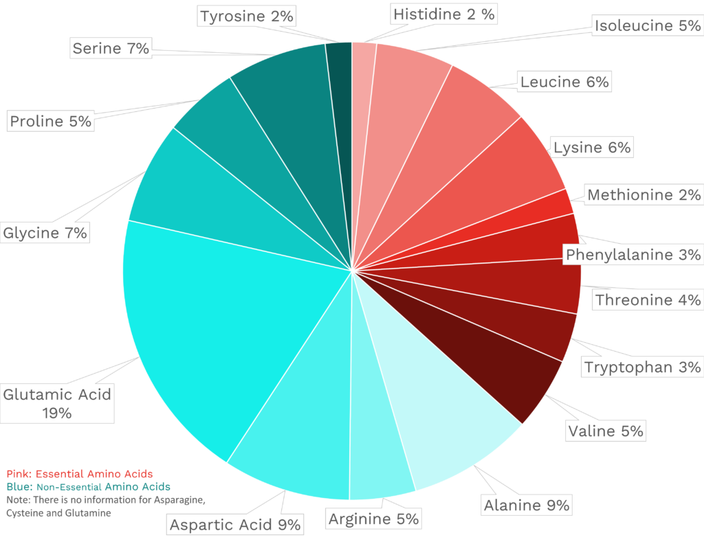 Visual graphic of amino acid distribution in kelp.