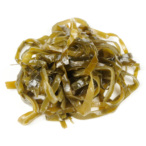 An image of kelp.