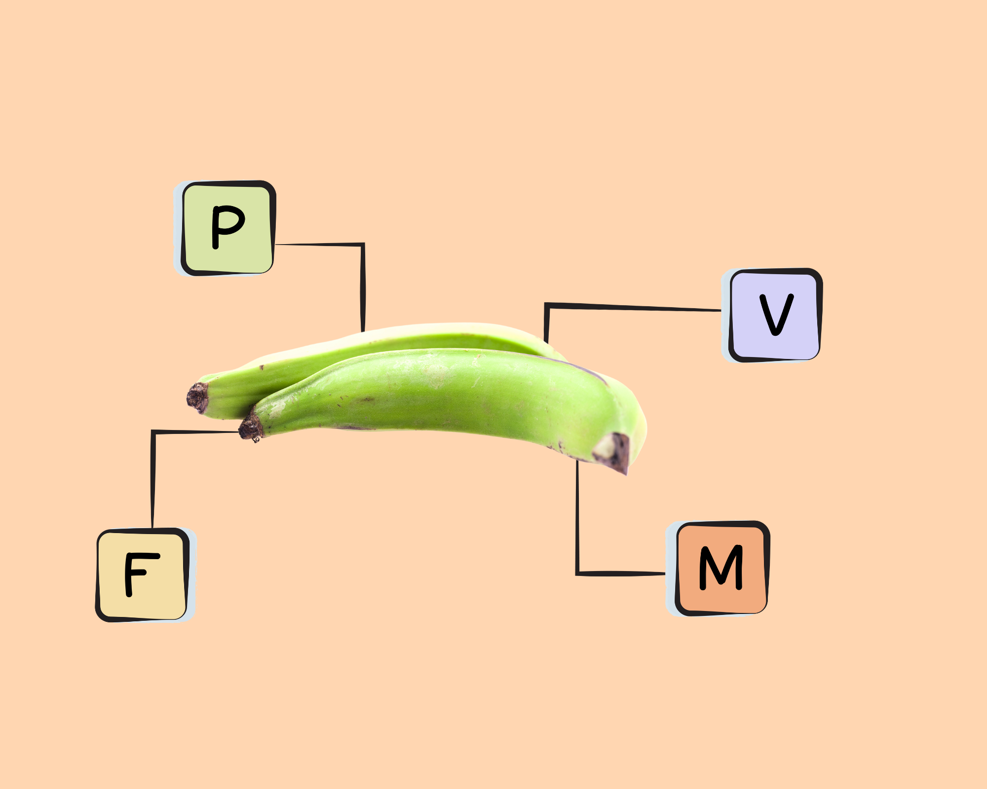 green-plantain-nutrients