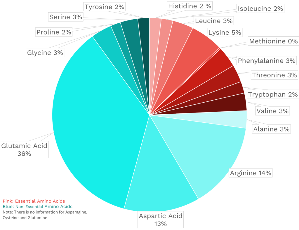 Visual graphic of amino acid distribution in onion.