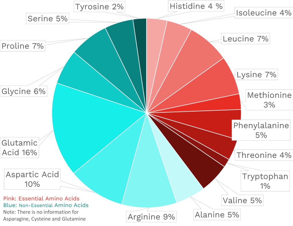 Visual graphic of amino acid distribution in quinoa.