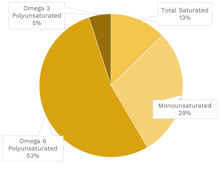 Visual graphic of fats in quinoa.
