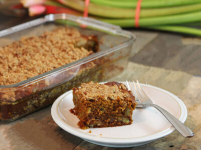 Wide image of a piece of rhubarb cake on a white plat - more cake in a glass dish.
