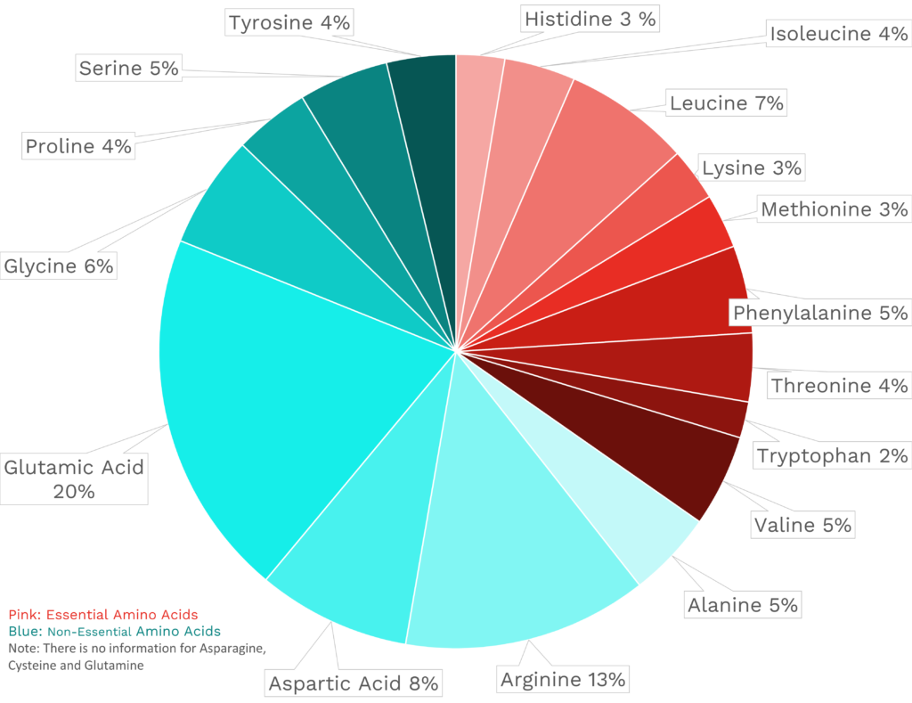 Visual graphic of amino acid distribution in sesame seeds.