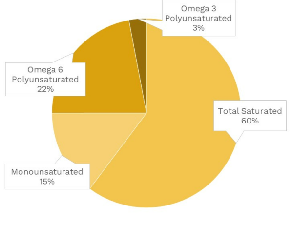 Visual graphic of fats in turmeric.