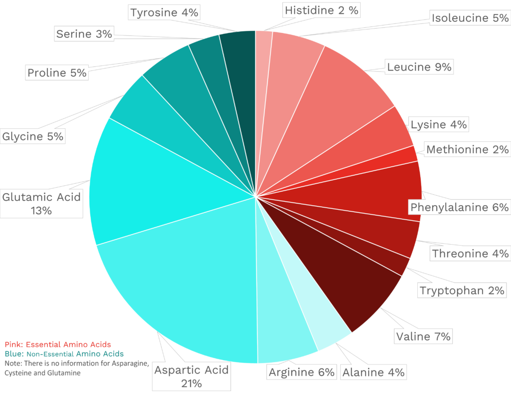 Visual graphic of amino acid distribution in turmeric.