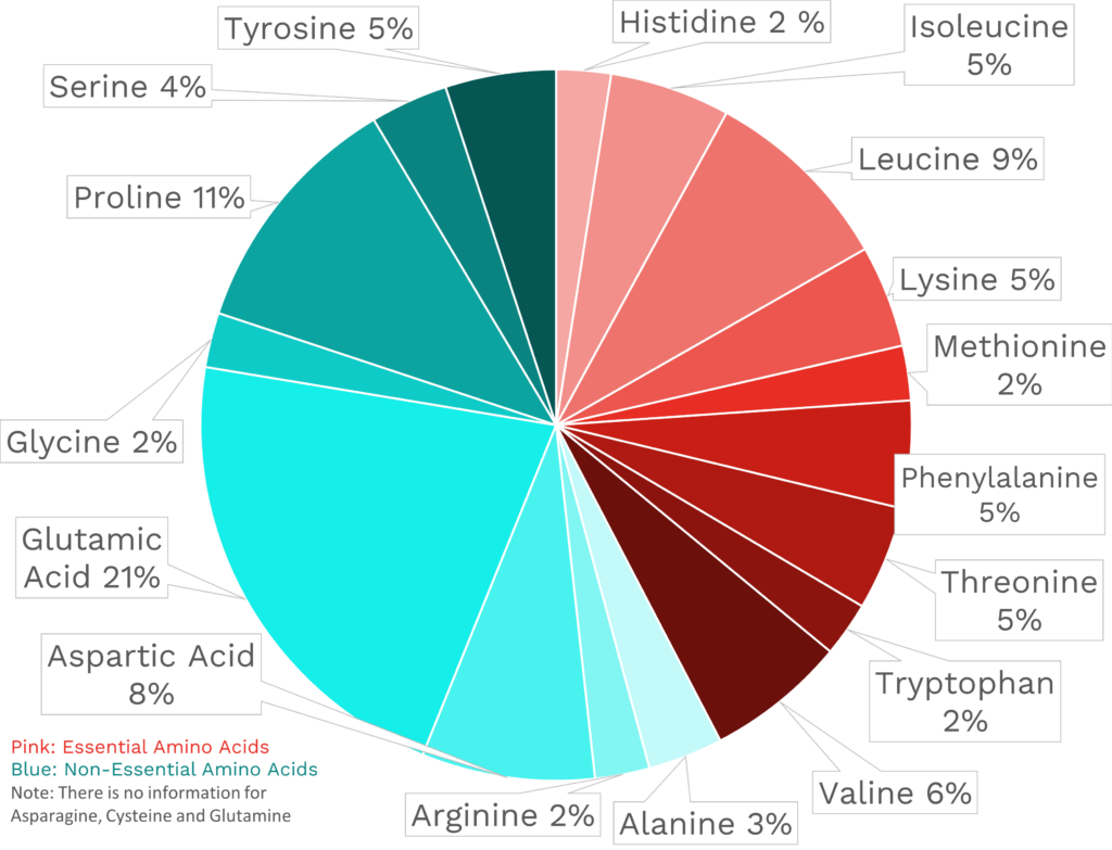 Visual graphic of amino acid distribution in cheddar cheese.