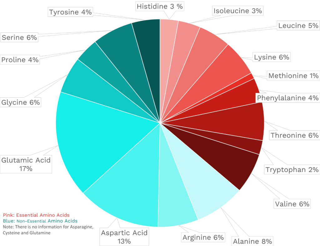 Visual graphic of amino acid distribution in maitake mushrooms.