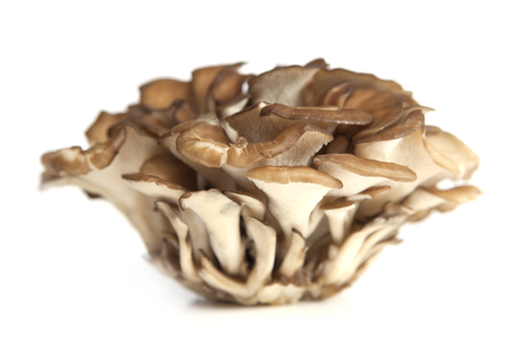 An image of maitake mushrooms.