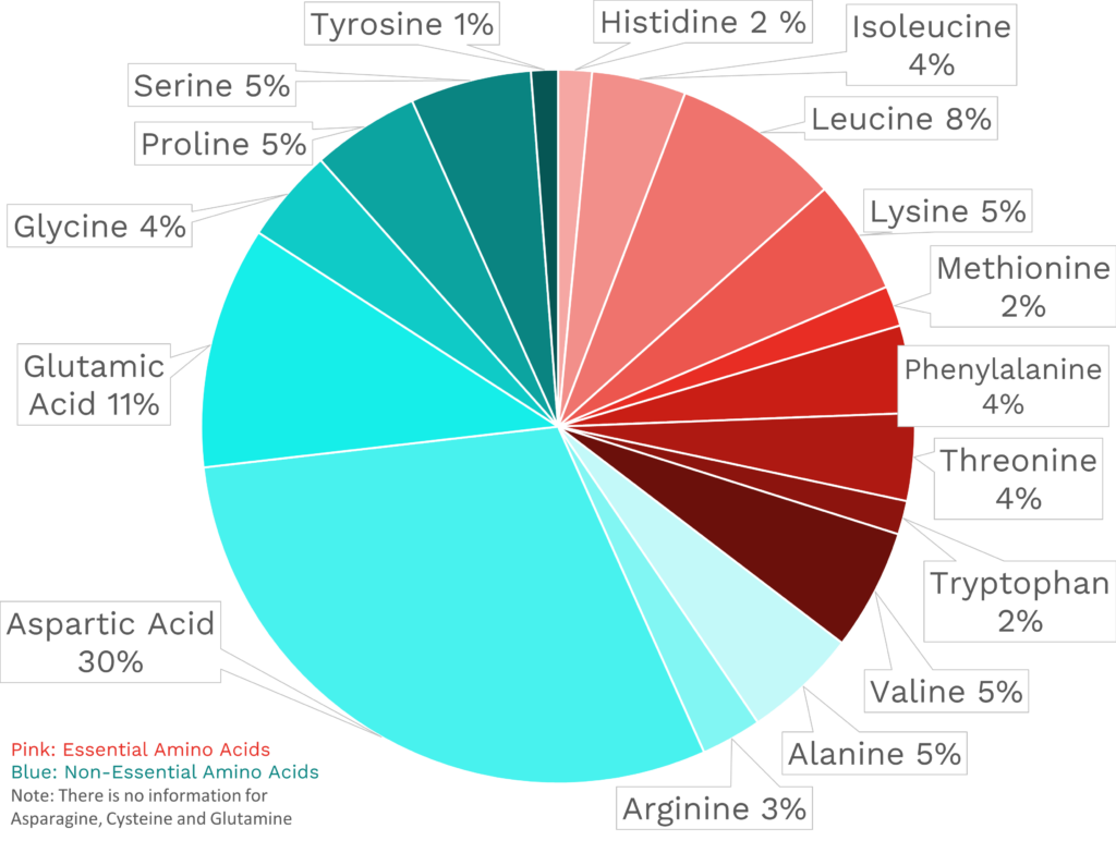 Visual graphic of amino acid distribution in Asian pear.