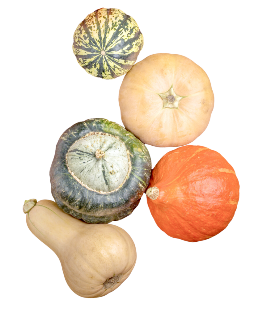 An image of winter squash.