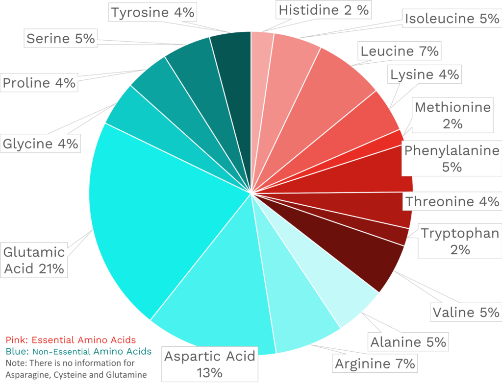 Visual graphic of amino acid distribution in winter squash.