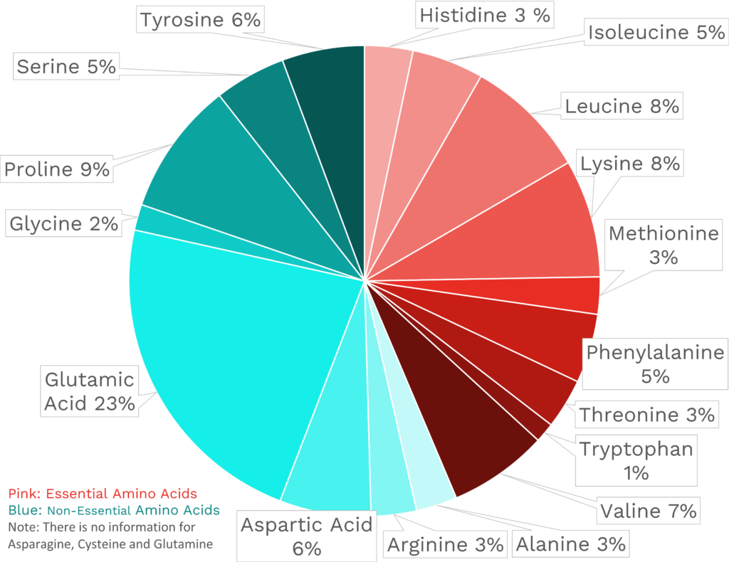 Visual graphic of amino acid distribution in blue cheese.