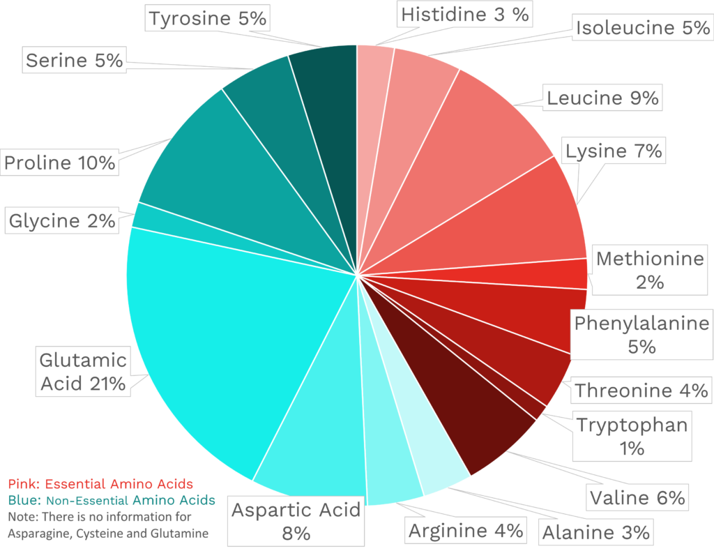 Visual graphic of amino acid distribution in 2% cottage cheese.