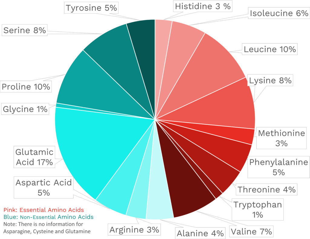 Visual graphic of amino acid distribution in feta cheese.