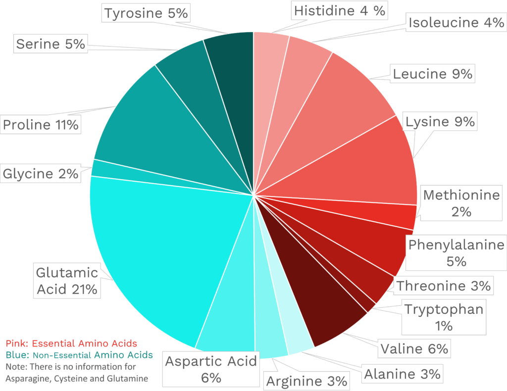 Visual graphic of amino acid distribution in gouda cheese.