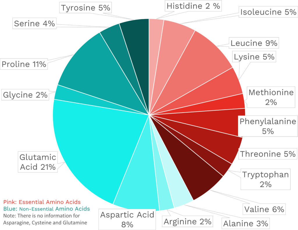 Visual graphic of amino acid distribution in mozzarella cheese.