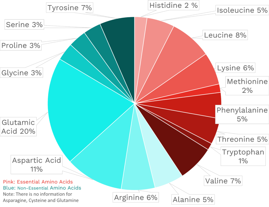 Visual graphic of amino acid distribution in okra.
