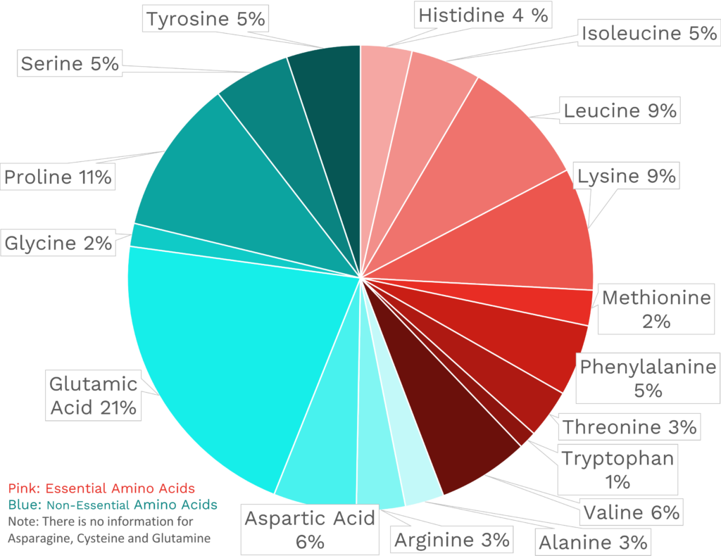 Visual graphic of amino acid distribution in hard parmesan cheese.