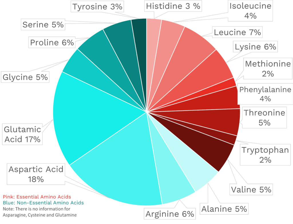 Visual graphic of amino acid distribution in red chili peppers.