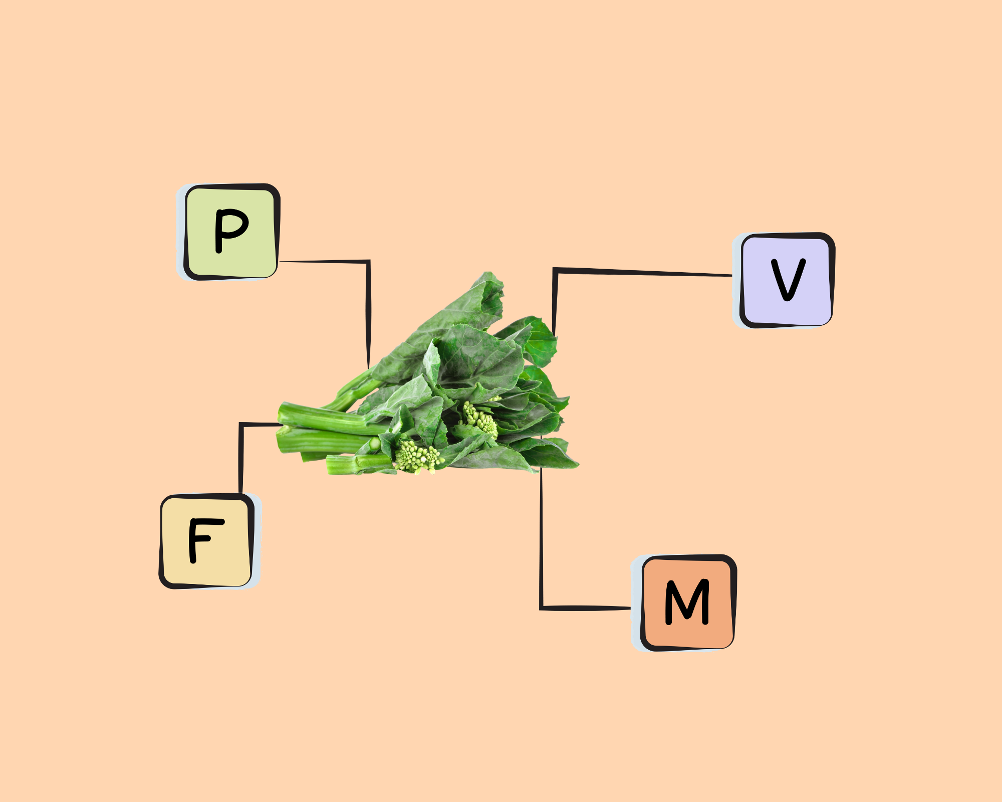 Chinese Broccoli Nutrients