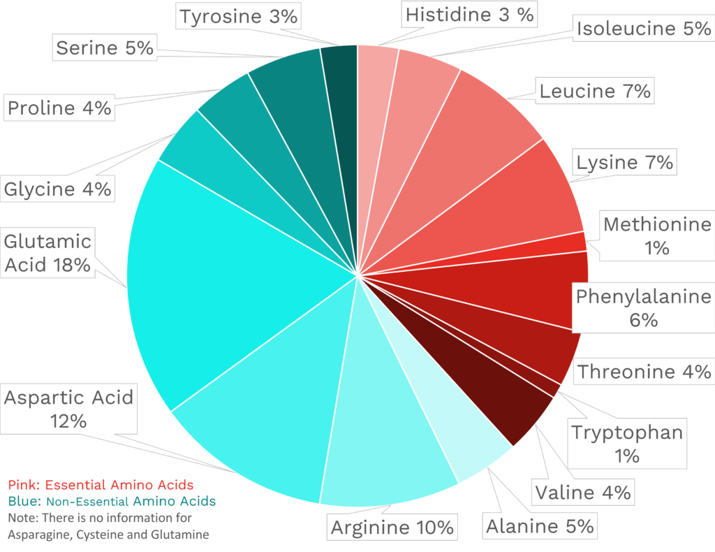 Visual graphic of amino acid distribution in chickpeas.