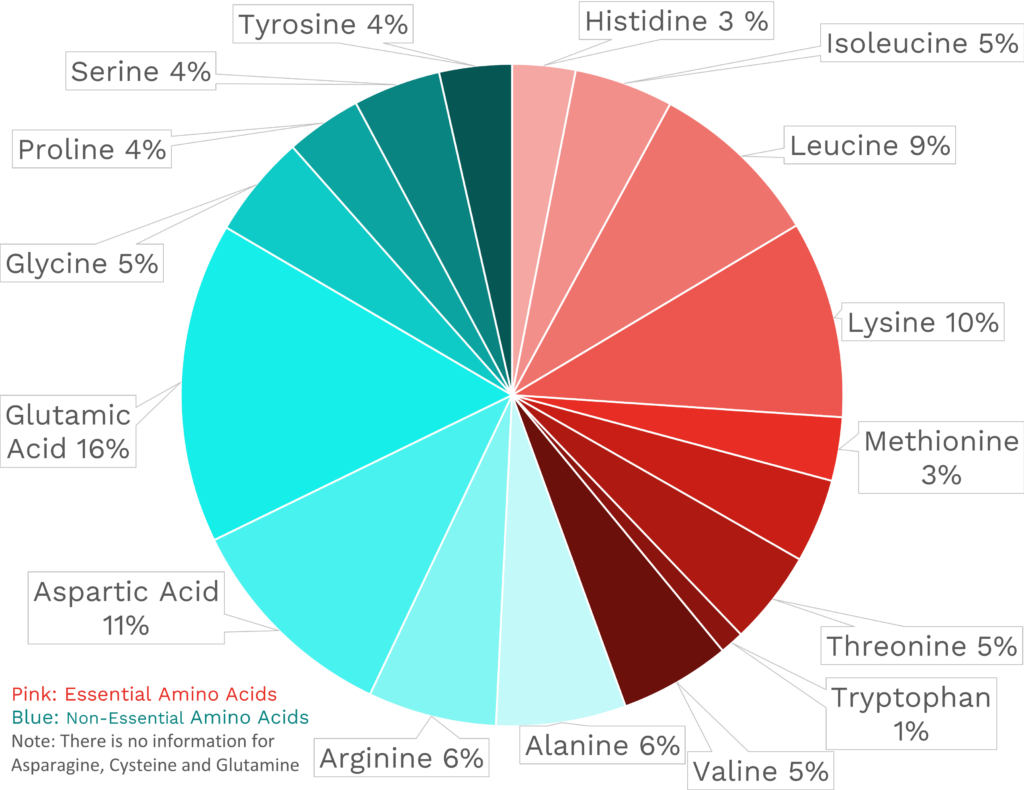 Visual graphic of amino acid distribution in king mackerel.