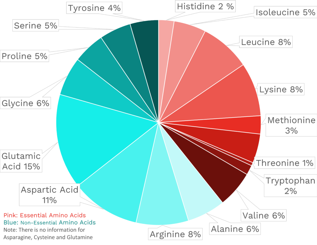 Visual graphic of amino acid distribution in Eastern oysters.