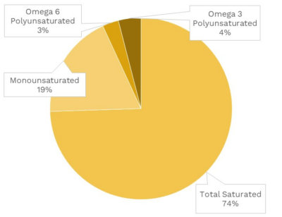 Visual graphic of fats in pumpkin.