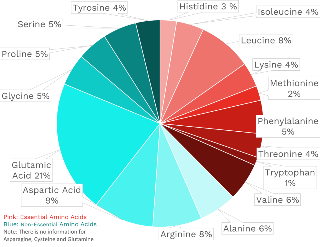 Visual graphic of amino acid distribution in brown rice.