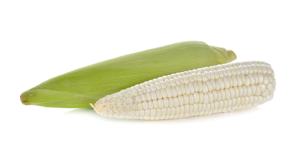 An image of white sweet corn.