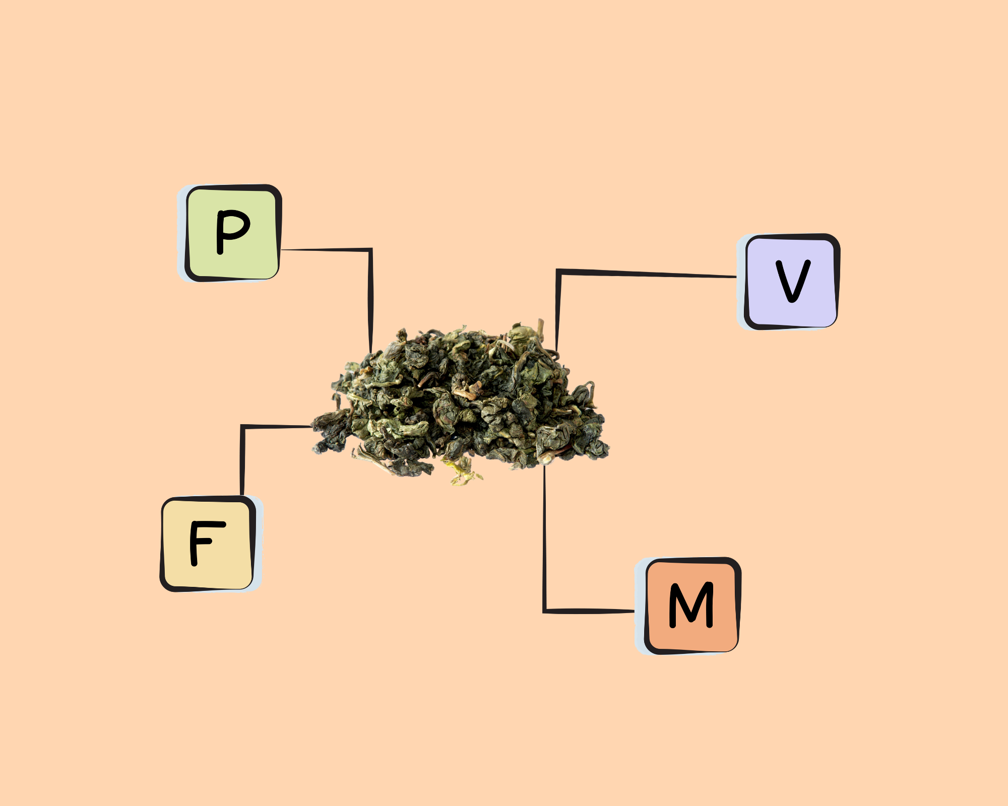 oolong-tea-nutrients