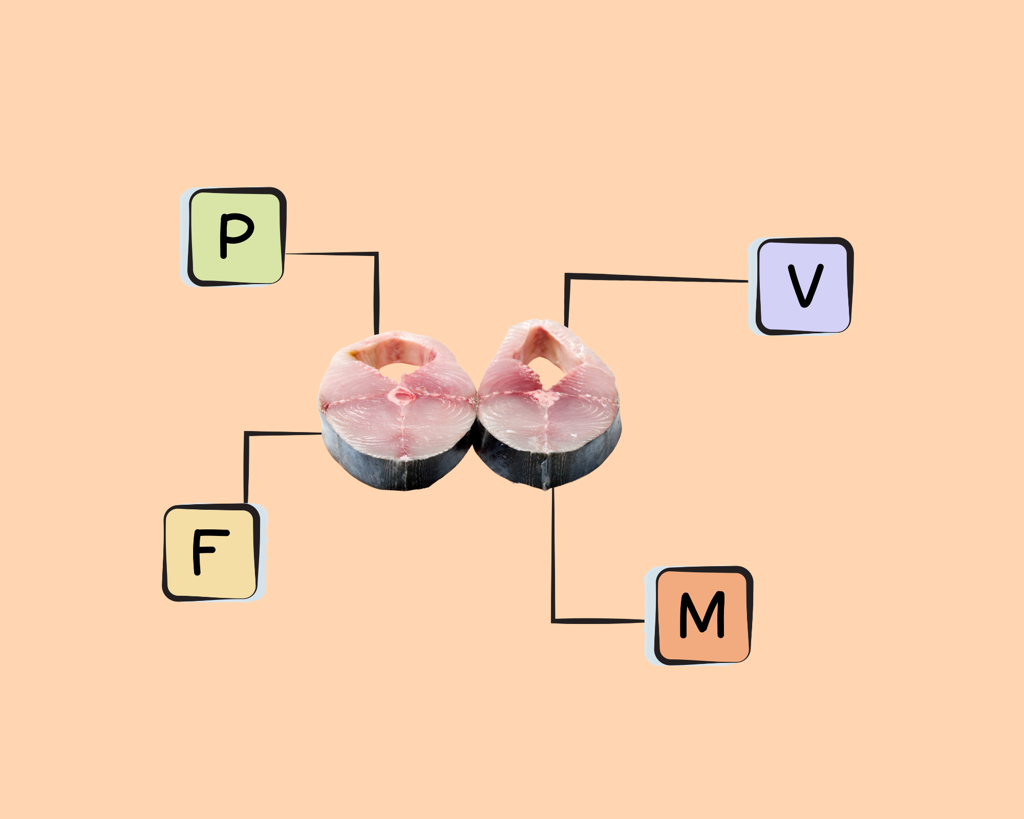 King Mackerel Nutrients