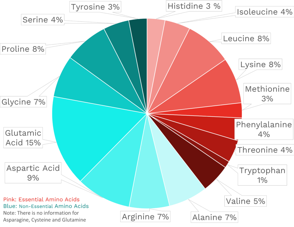 Visual graphic of amino acid distribution in hot dog.