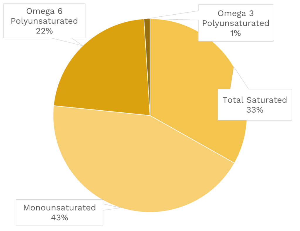 Visual graphic of fats in hot dog.