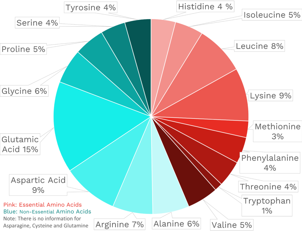 Visual graphic of amino acid distribution in ground pork, 84%/16%.