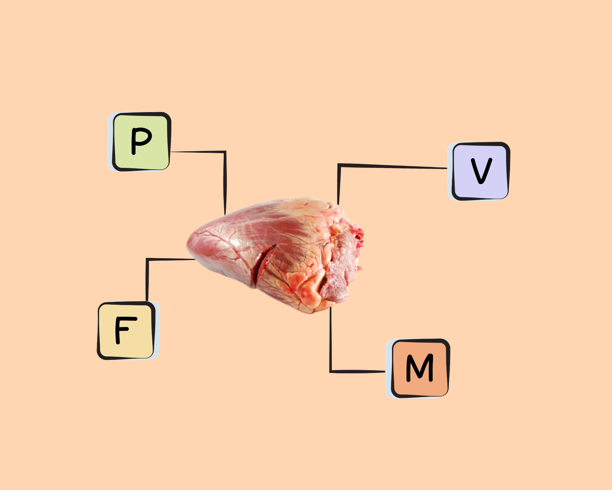 beef-heart-nutrients