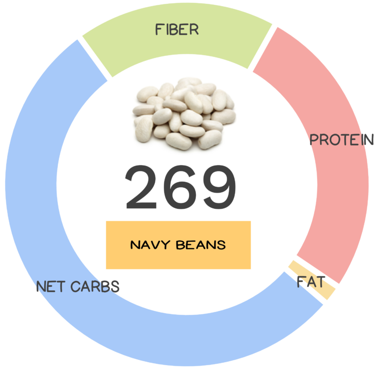 navy-bean-nutrients