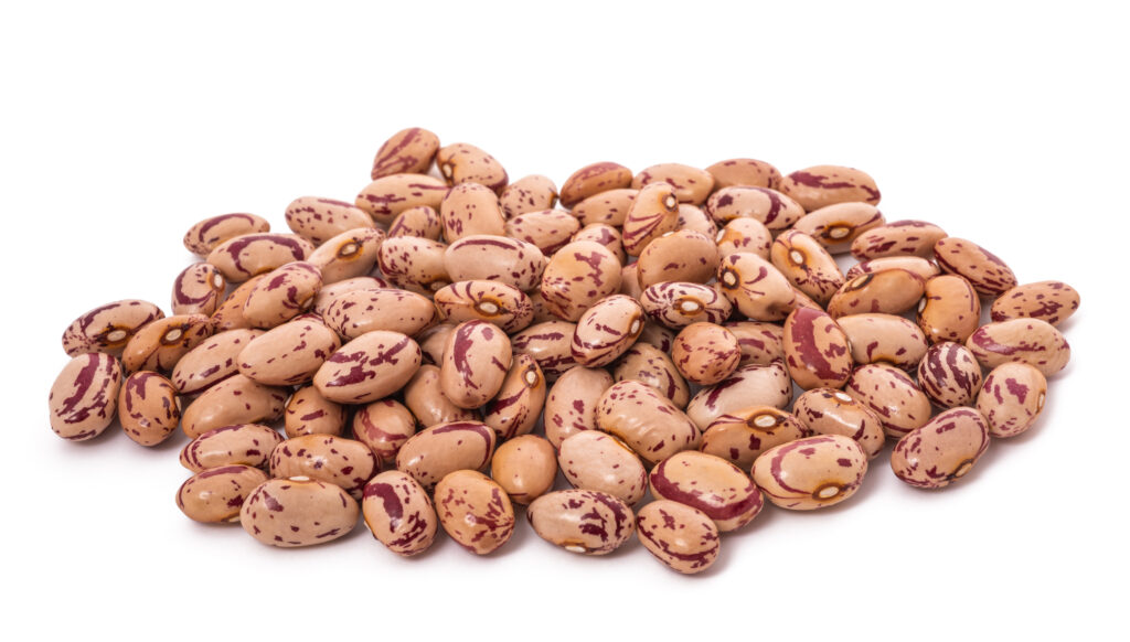 An image of cranberry beans.