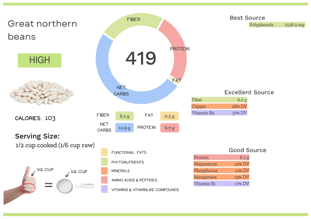 Visual graphic of nutrients in great northern beans.