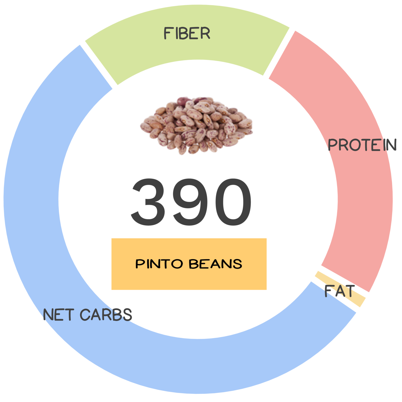 pinto-bean-nutrients