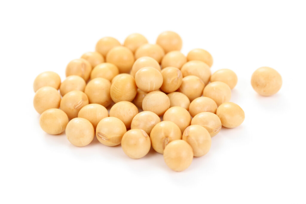 An image of matuer soybeans.