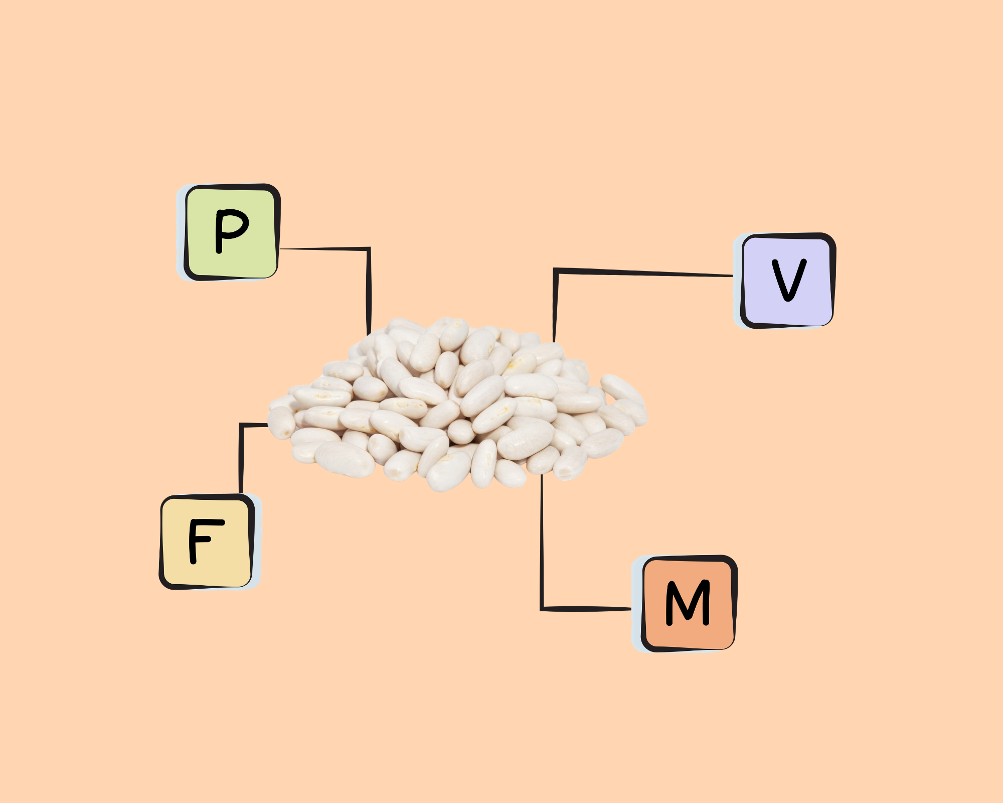 The Ultimate Butter Bean Vs. Great Northern Bean Guide - 0aksg6e