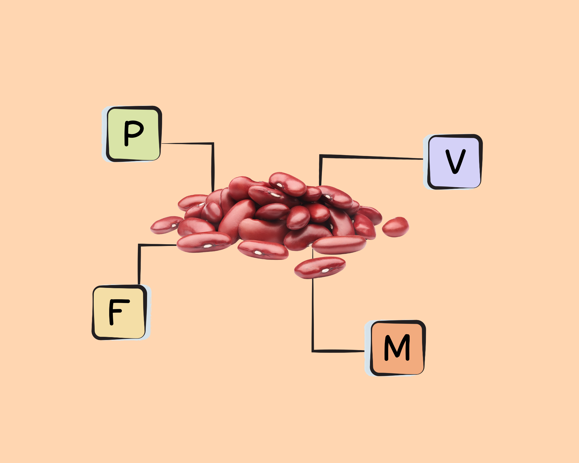 red-kidney-bean-nutrients