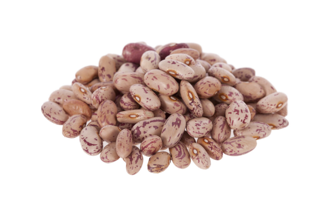 An image of pinto beans.