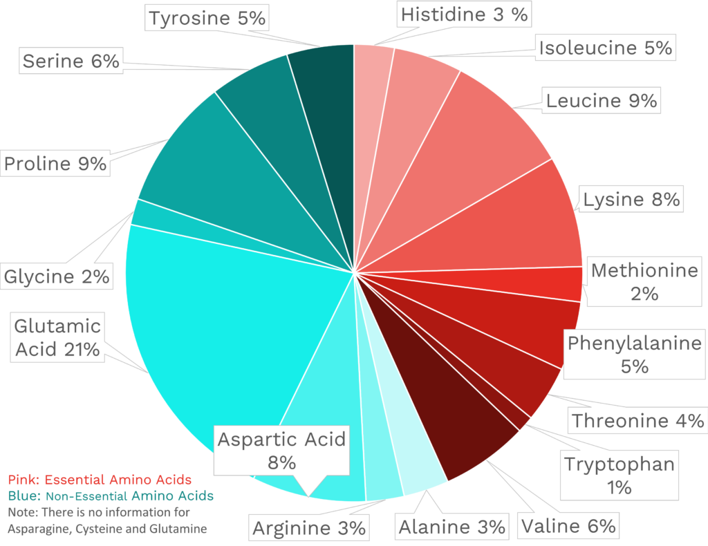 Visual graphic of amino acid distribution in whole milk (3.25% milk fat).