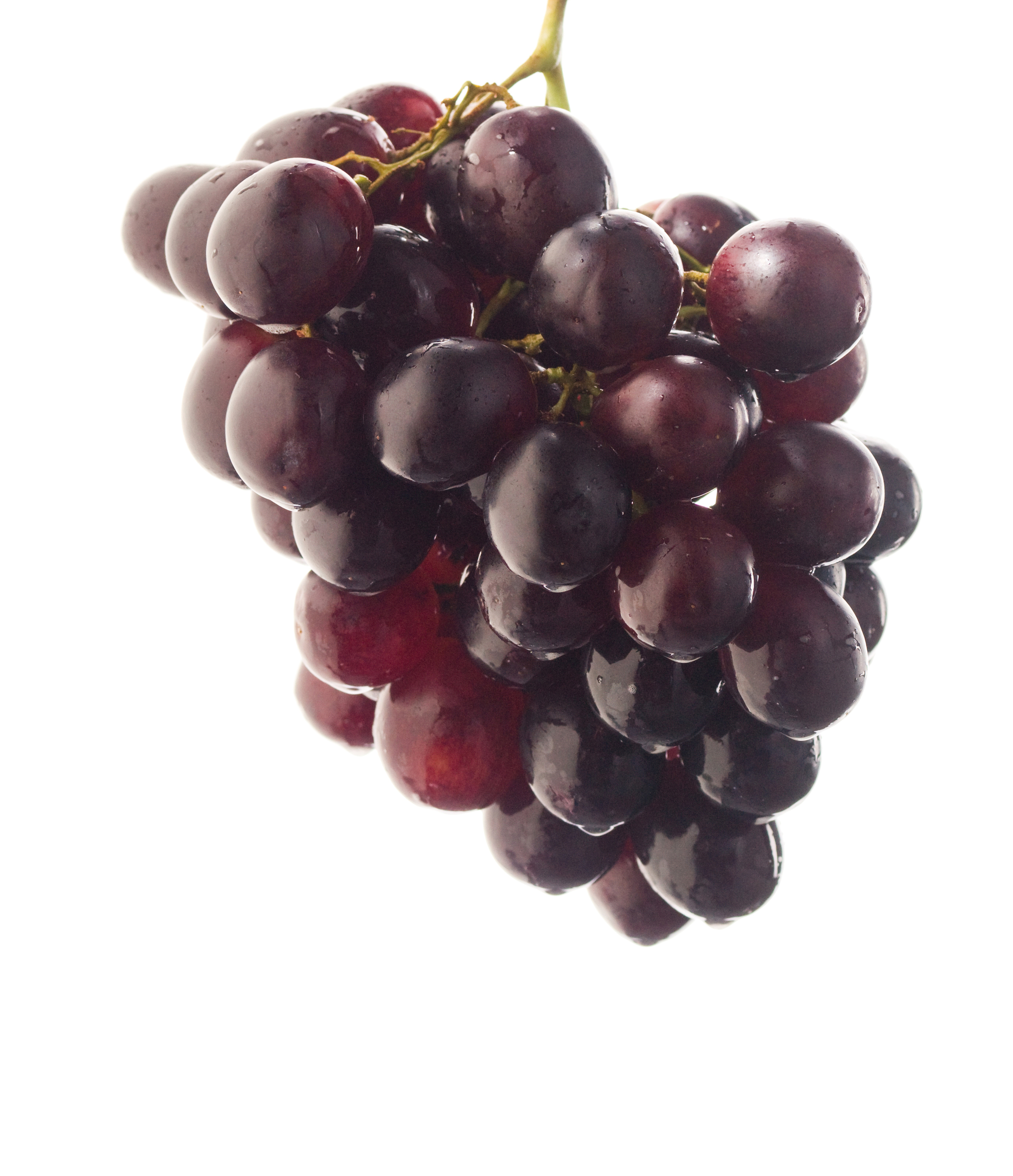An image of muscadine grapes.